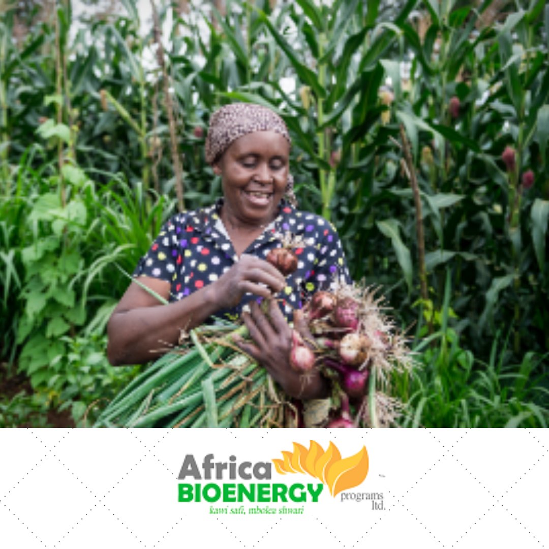 Optimise and improve your farm's production using bio-slurry on your crops as an organic fertiliser. #bioslurry #organicfertilizer #foodsecurity
