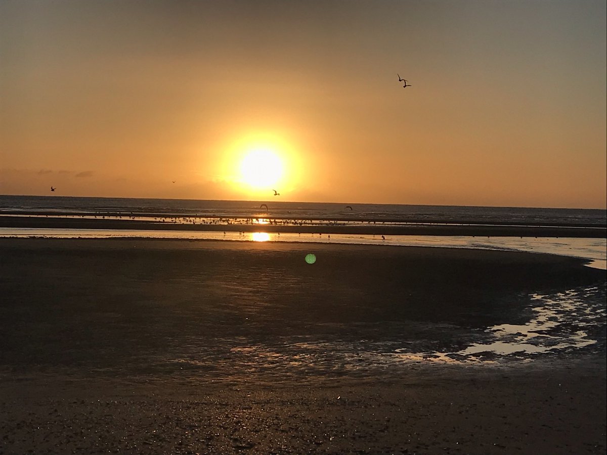 Niamh Fitzgerald tweet media