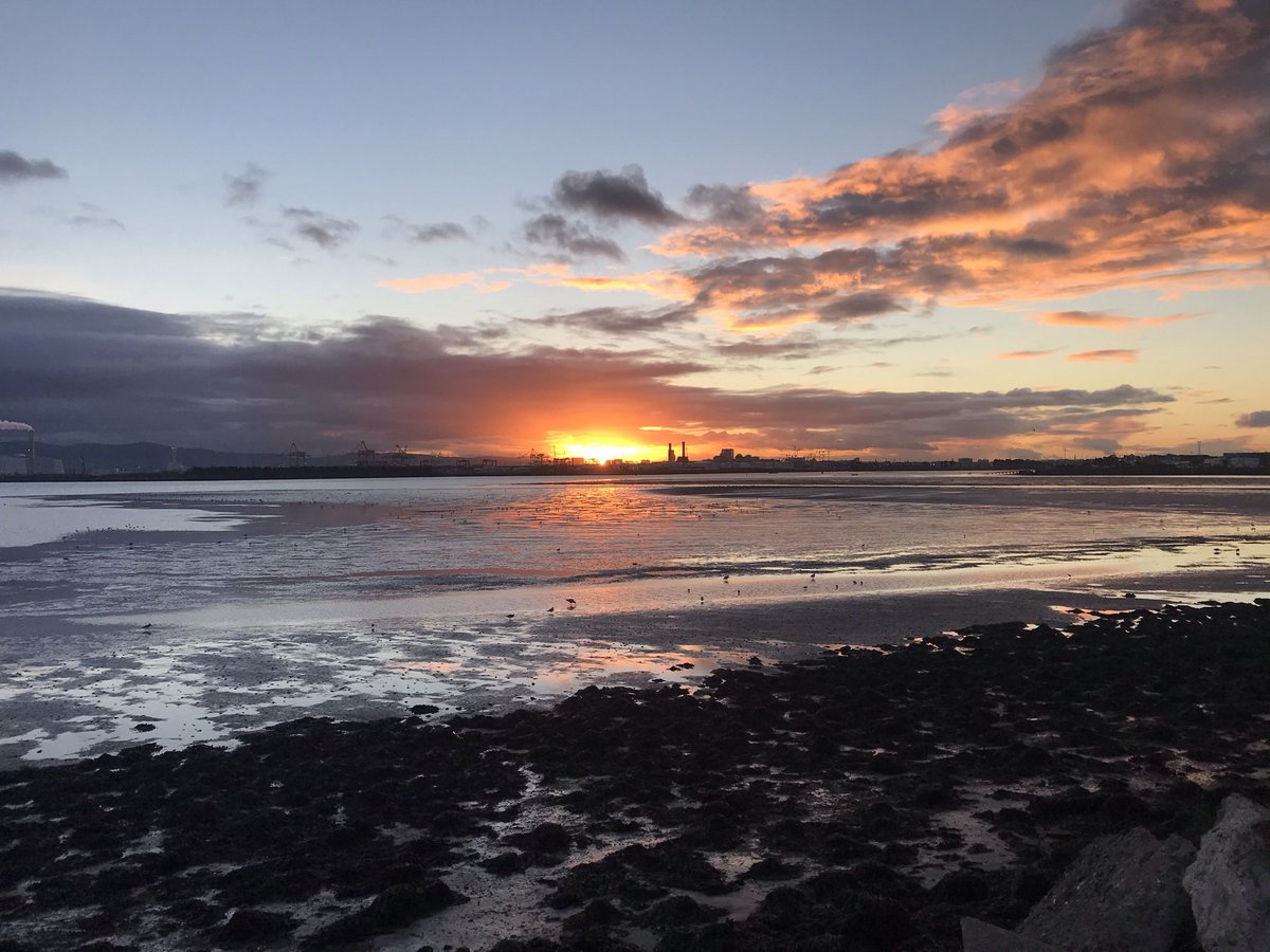 Niamh Fitzgerald tweet media