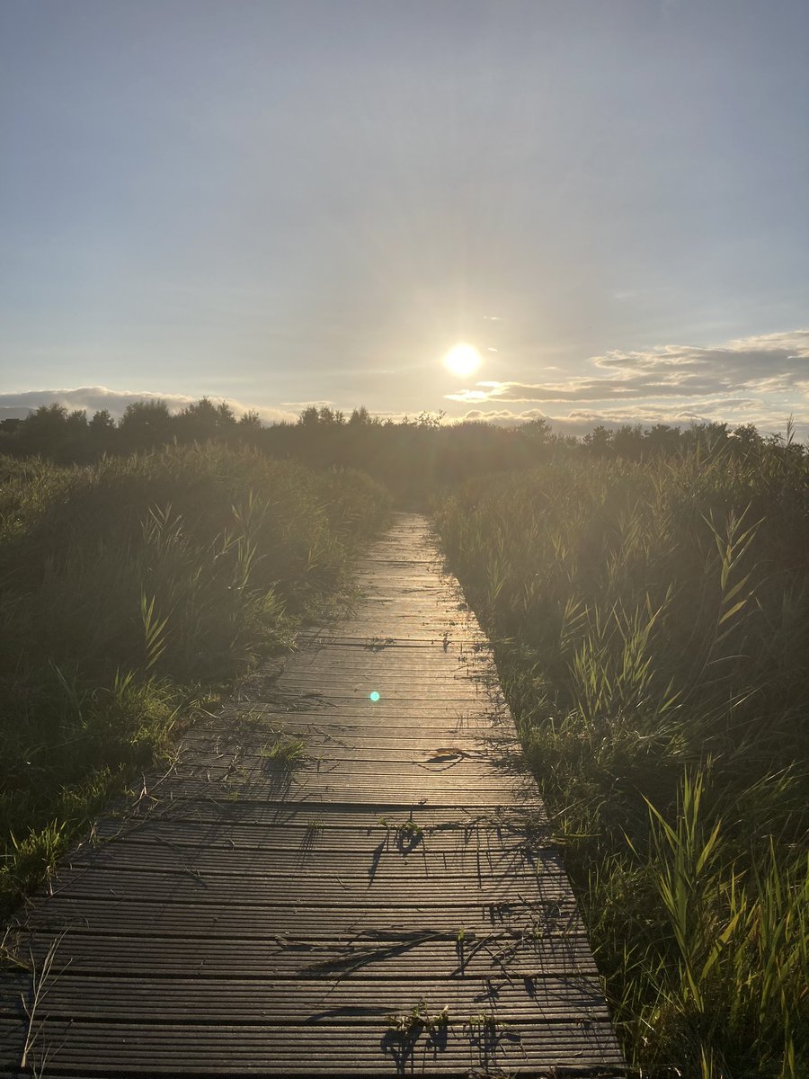 Niamh Fitzgerald tweet media