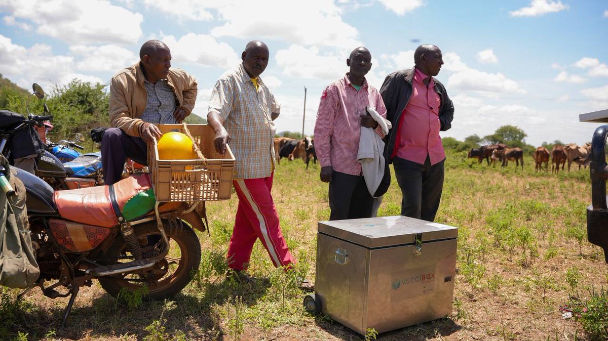 AccessDrop's tweet photo. Racing to inoculate livestock across Kajiado's roughest terrain, our crew is BLITZING through ranches &amp; pastures! We're JAMMING sturdy Vacciboxes to the BRIM, protecting herds from disease. Stay tuned as we put these unstoppable vaccine containers to the TEST! 🥵⏱ #VaxToTheMax https://t.co/synkER8srl