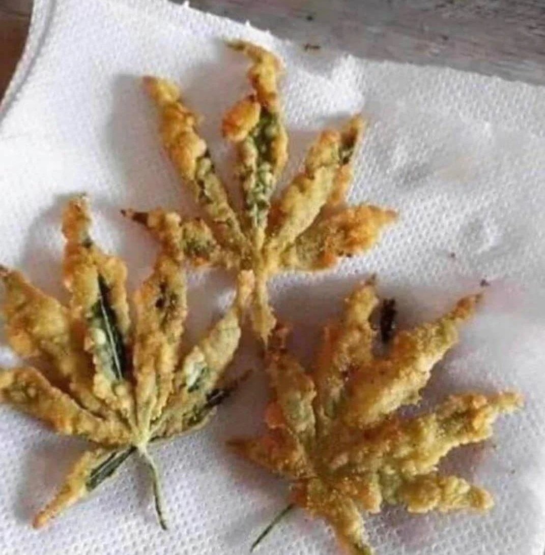 Blaizculo's tweet photo. *legalizan la marihuana*

americanos: https://t.co/7hZQeuUZ14