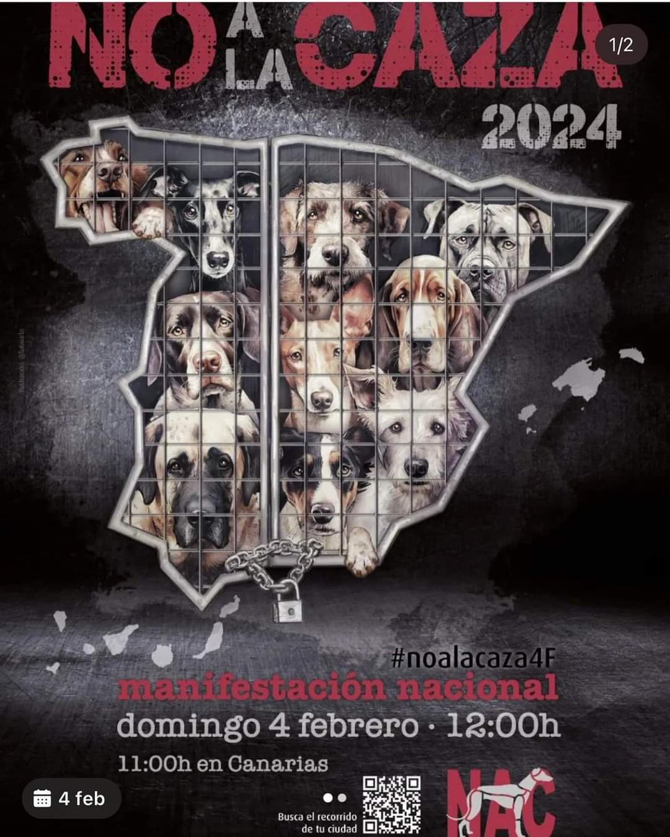 📢El próximo 4 de febrero estaremos en la manifestación organizada por Plataforma NAC para pedir el fin del maltrato a los perros de caza
‼️NO TE QUEDES EN CASA ‼️
Acude a la manifestación organizada en tu ciudad 
#noalacaza 
#noalmaltratoanimal
#noalanormalizaciondelmaltrato
