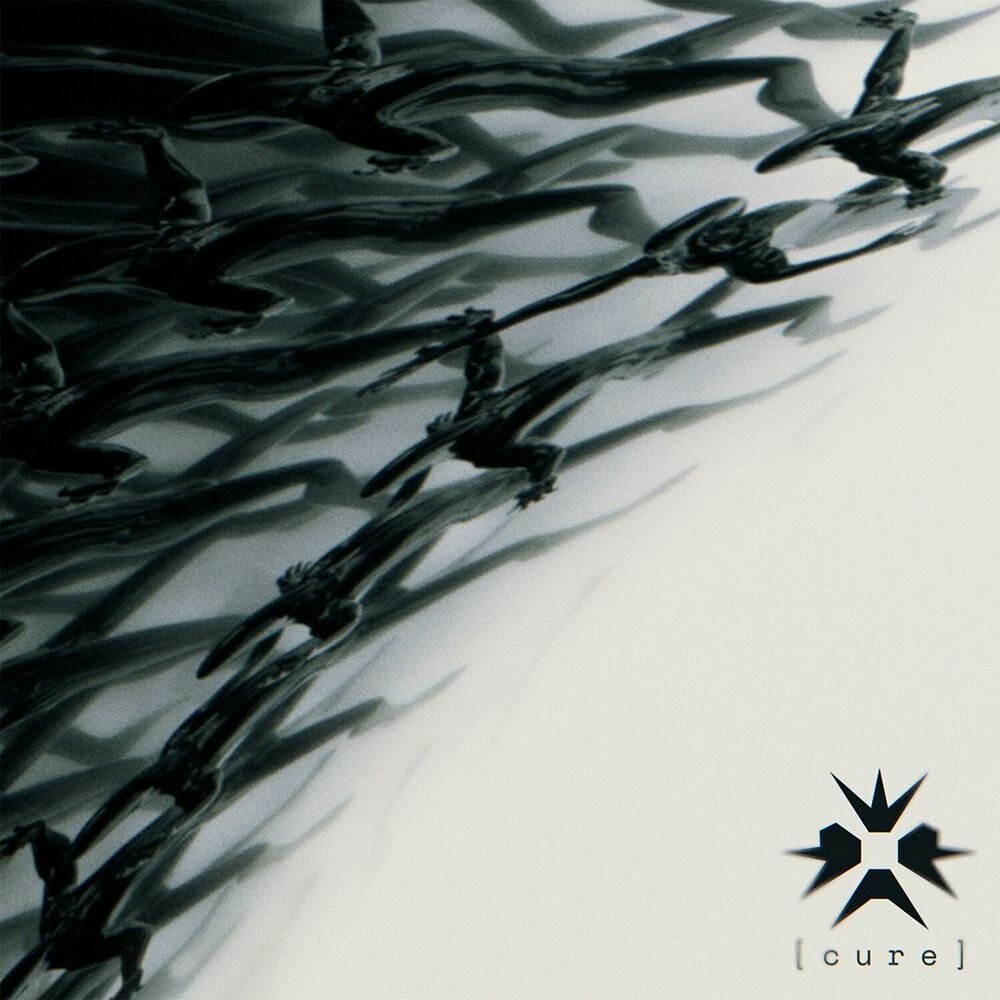 RockNewsReleas's tweet photo. Erra - Cure [SINGLE] (2024)
Progressive Metalcore 
USA
#rocknewsreleases #rocknewsrelease #rocknews #rock #rnr #rn #progressivemetalcore #metalcore #texasinjuly #erra 

@Erra_Band https://t.co/KNeY6y1L9e