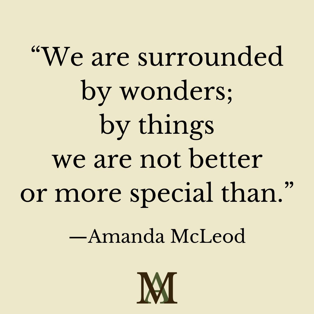 Amanda McLeod Writes tweet media