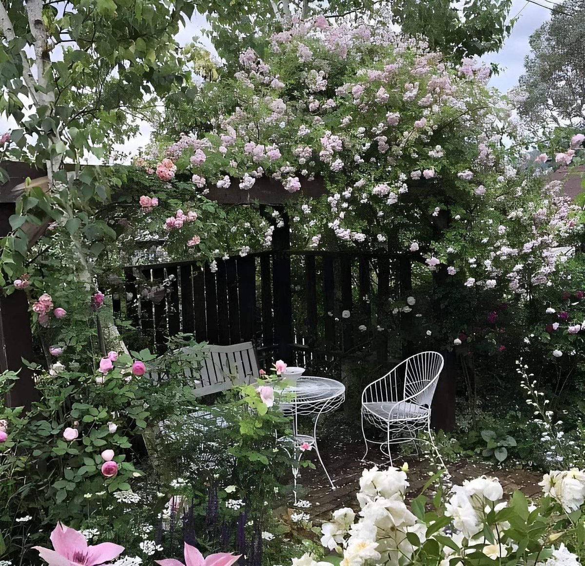 Iqra (@iqrathepoet) on Twitter photo 