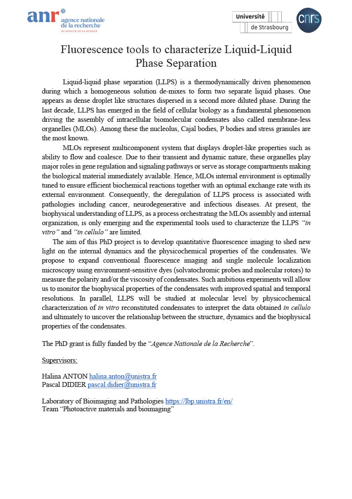 Our team opens a #PhD #position to work on liquid-liquid phase separation #LLPS in #cells using advanced #fluorescence #imaging. Please contact: halina.anton@unistra.fr & pascal.didier@unistra.fr Team @Lab_Klymchenko @unistra @CNRS_Alsace