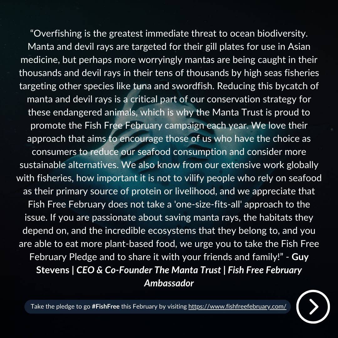 MantaTrust's tweet photo. Fish Free February x The Manta Trust
📲 To learn more about #FishFreeFebruary and to take the pledge, visit the link below!
👉https://t.co/FDh70gcVhn
#MantaTrust #MarineConservation #FishFreeFebruary #Sustainability #FishFree #TakeThePledge https://t.co/o0HI5NUUHO