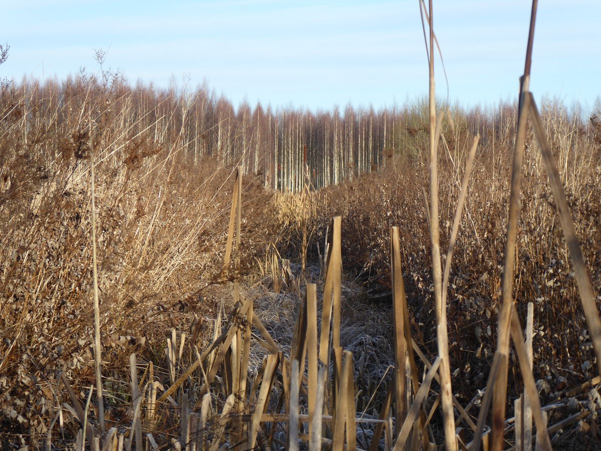 Mike Peacock tweet media