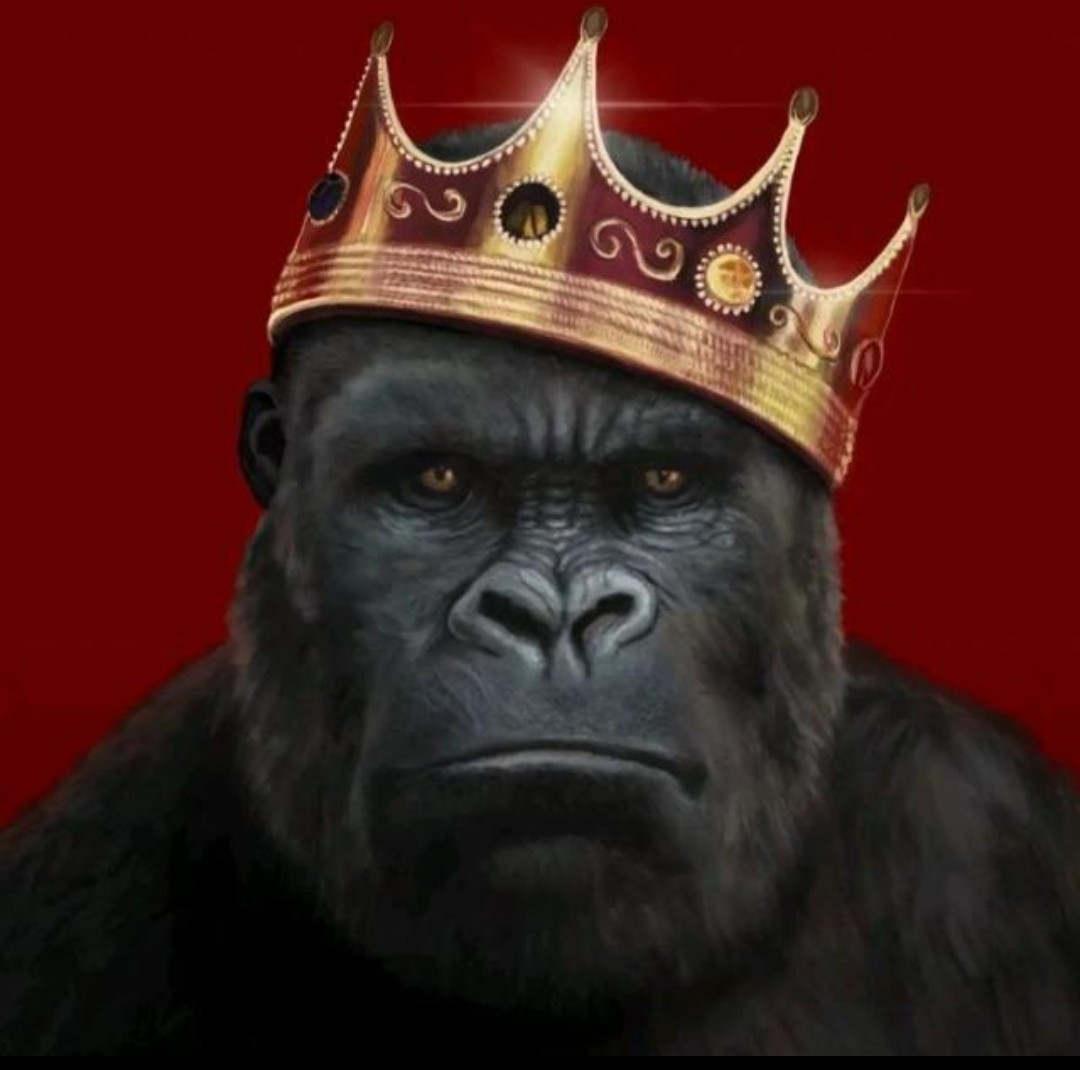 Sudapro1's tweet photo. Guys why is this Animal trending? https://t.co/g7zJ7W1v4z