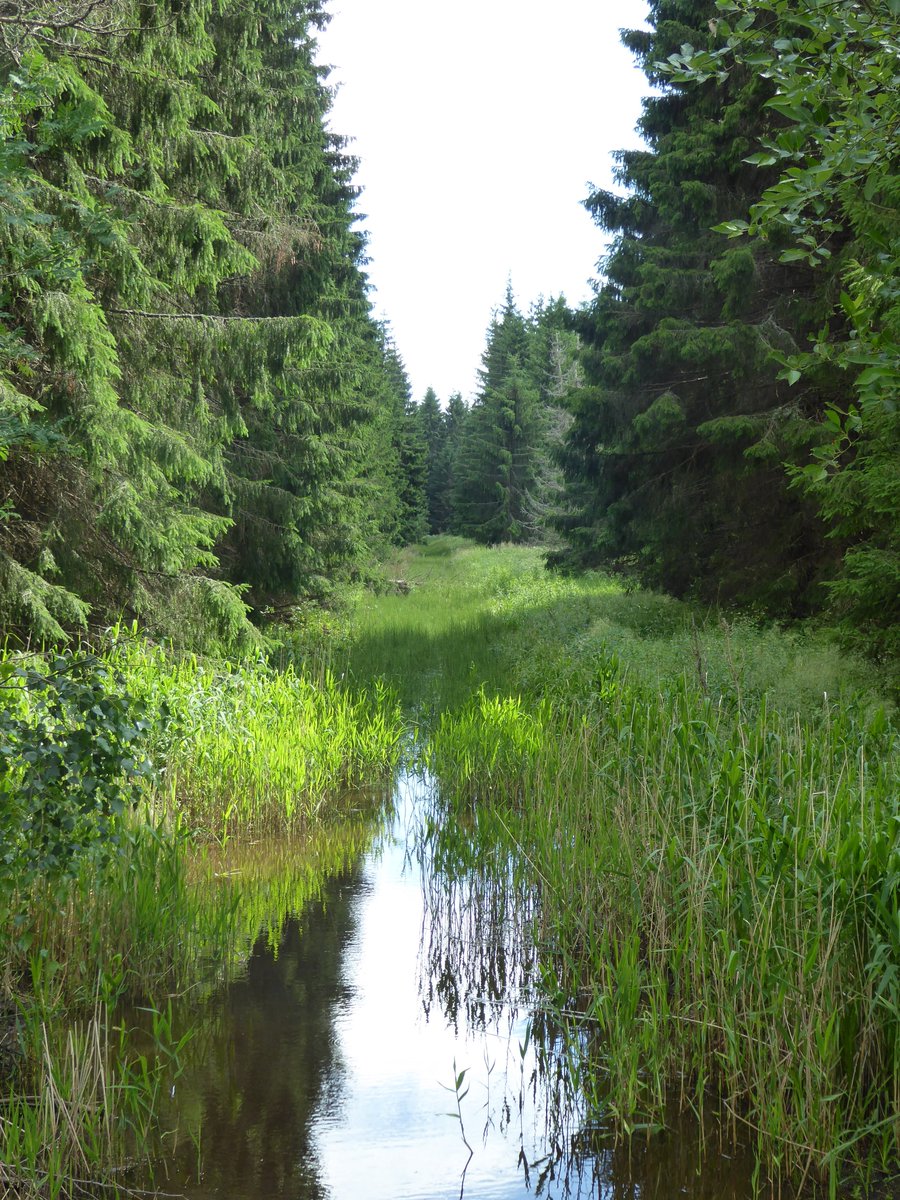 Mike Peacock tweet media