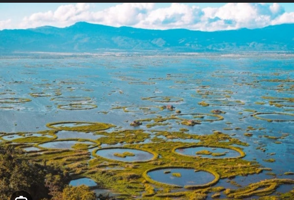 🌍 Celebrating #WorldWetlandsDay! Let's focus on saving Manipur's Loktak Lake and its diverse wildlife. The beauty of our state is at risk due to poppy cultivation. Together, let's stand up for preservation and say no to actions that harm our precious environment. 🌱…