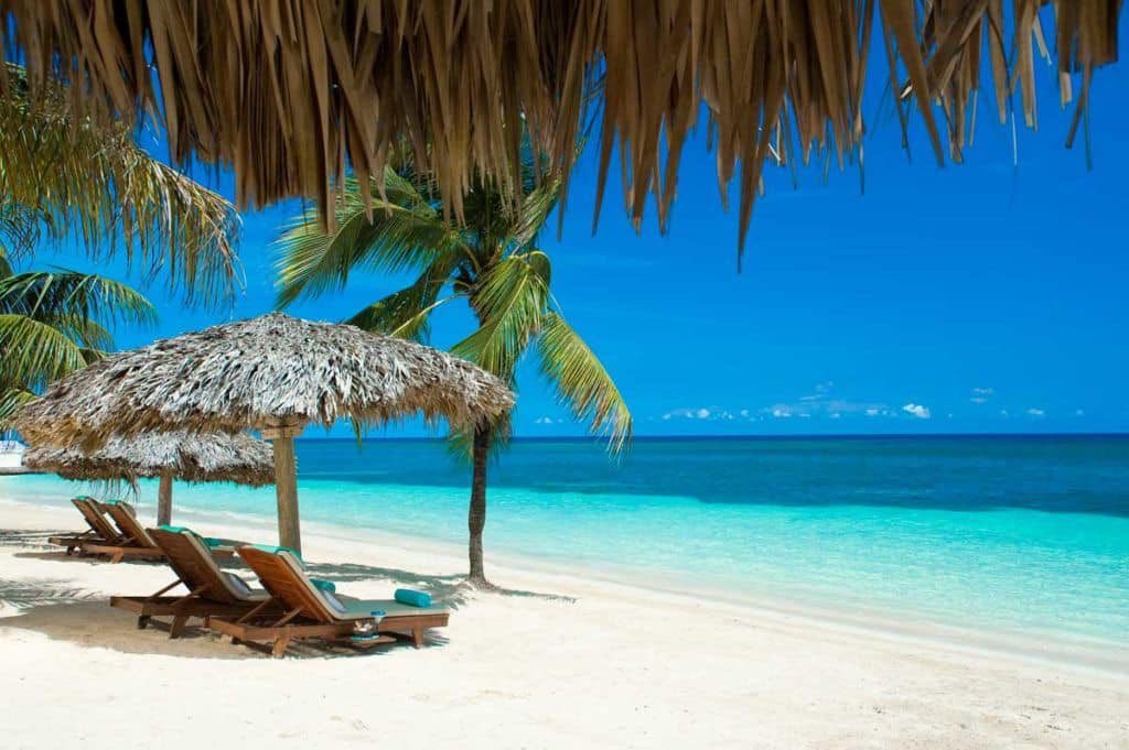 TezDewdney's tweet photo. @jamaica@island https://t.co/Lbq5erpJuV