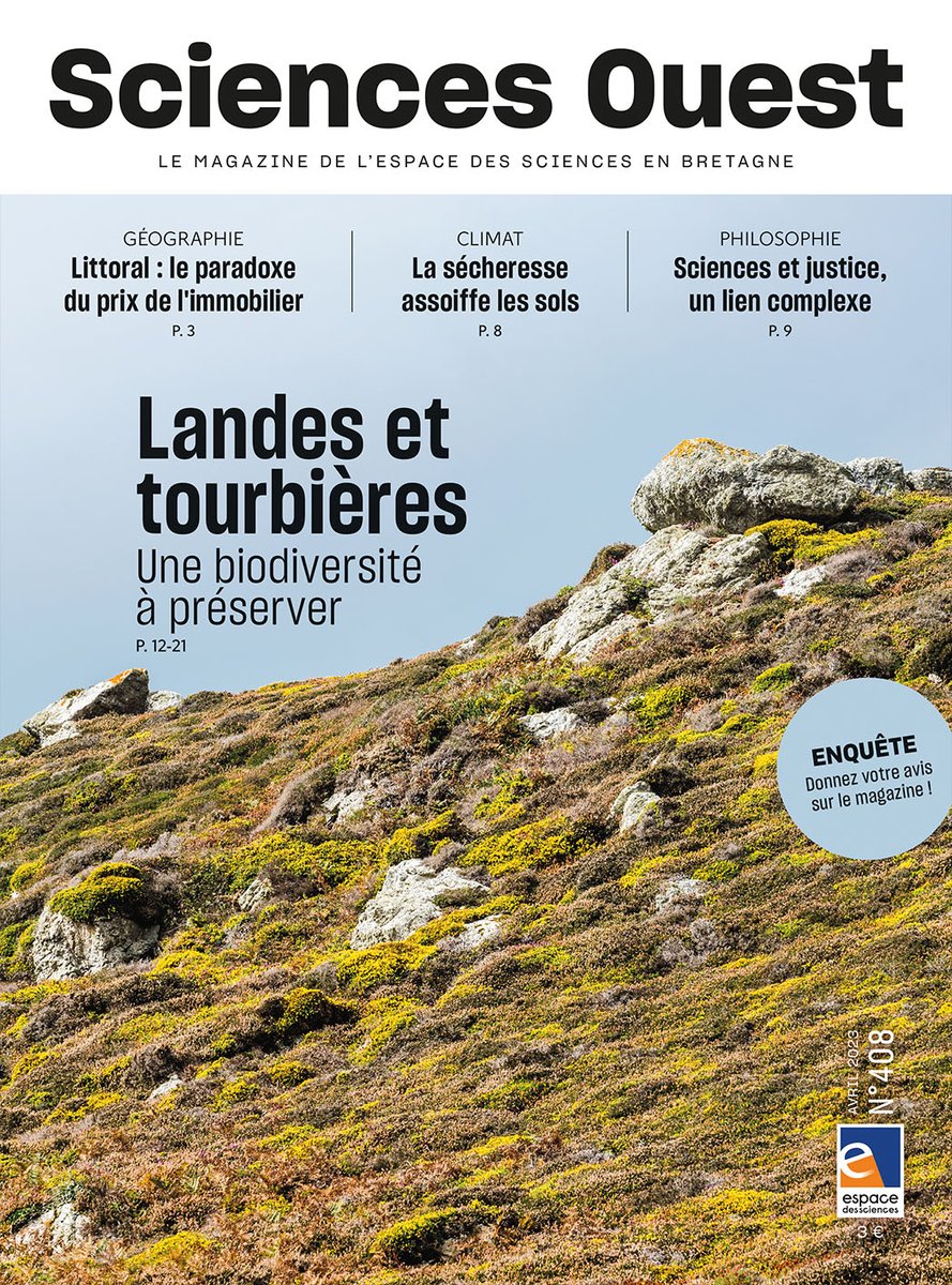 Sciences_Ouest's tweet photo. 🐸 #JMZH2024 | Et si pour cette journée mondiale des zones humides, vous déambuliez dans les landes et les tourbières bretonnes en feuilletant notre dossier spécial ? 
💧🌱👉https://t.co/n1HMXu3qXu https://t.co/8rfmlCeSg6