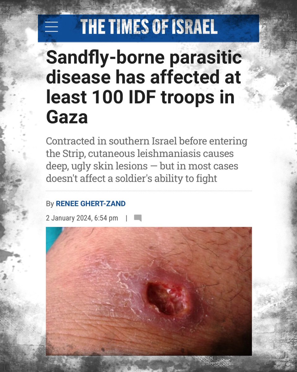 LVGIF's tweet photo. 1 DIS 2023 - IDF diserang shigellosis
1 JAN 2024 - IDF diserang leishmaniosis

Terjemahan Surah Al-Fiil (Gajah):

1. Tidakkah engkau mengetahui bagaimana Tuhanmu telah melakukan kepada angkatan tentera (yang dipimpin oleh pembawa) Gajah, (yang hendak meruntuhkan Kaabah)? https://t.co/vAXv9YVIWj