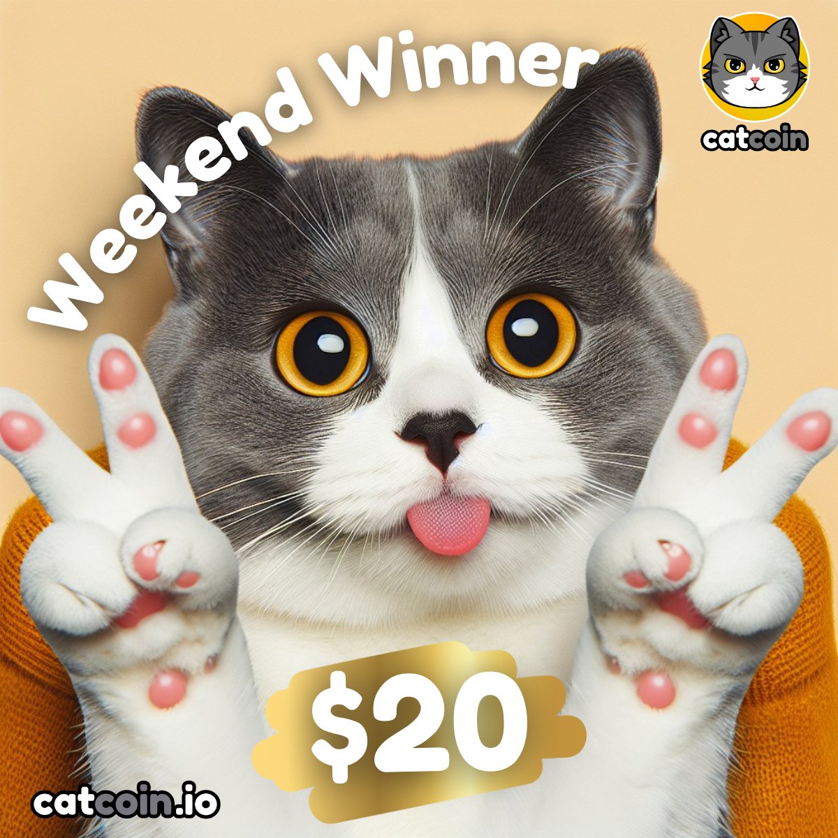 New Weekend Winner! - $20

• Follow <a href="/officialcatcoin/">Official Catcoin</a>
• Retweet
• And comment #Catcoin #USDT #giveaway

24 hours