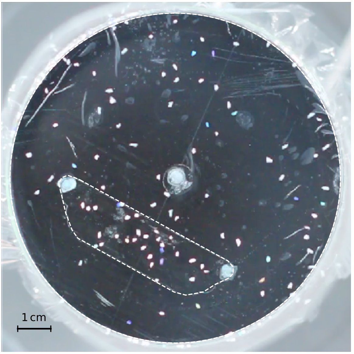 The next @FAST_Orsay / @LisnLab seminar, entitled 'Chladni figure and granular ratchet' will be given by Olivier Devauchelle from @IPGP_officiel on Thursday 8 February 2024 at 2pm (seminar room C.120, Bât. 530). More info: semmeca.lisn.upsaclay.fr/affiche/res24_…