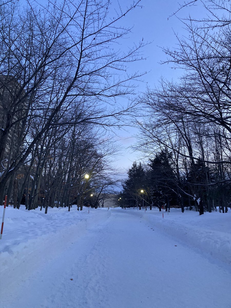 UP_RIO's tweet photo. 今週は娘と札幌に帰省してました。
雪山みながら温泉入ったり、念願の雪遊びもさせてあげられたし、よい滞在でした⭐︎
明日帰ります〜
#中島公園 https://t.co/d6IiV0Z5fG