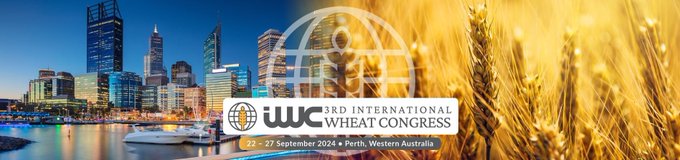 📢The International Wheat Congress - Perth, Australia - has opened the call for abstracts and registration. 

Go on iwc2024.com and save your spot now! #IWC2024 #3rdIWC

<a href="/MU_CCFI_Biotech/">Murdoch's Centre for Crop & Food Innovation & SABC</a>