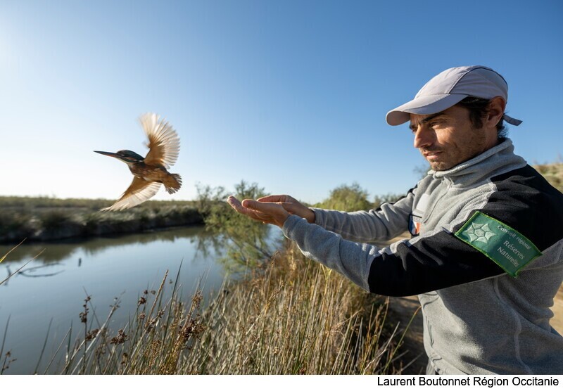 Occitanie's tweet photo. Protéger les #ZonesHumides ❓ Une évidence pour la #biodiversité ❗️
En #Occitanie, ces milieux aquatiques représentent 75 000 ha et 74 000 km de cours d'eau 💙
🍀 La #Région soutient les initiatives pour leur #préservation 👉 https://t.co/7MPVWK2KGK
_
#JMZH2024 #OccitanieDurable https://t.co/Q0zhkdUFkT