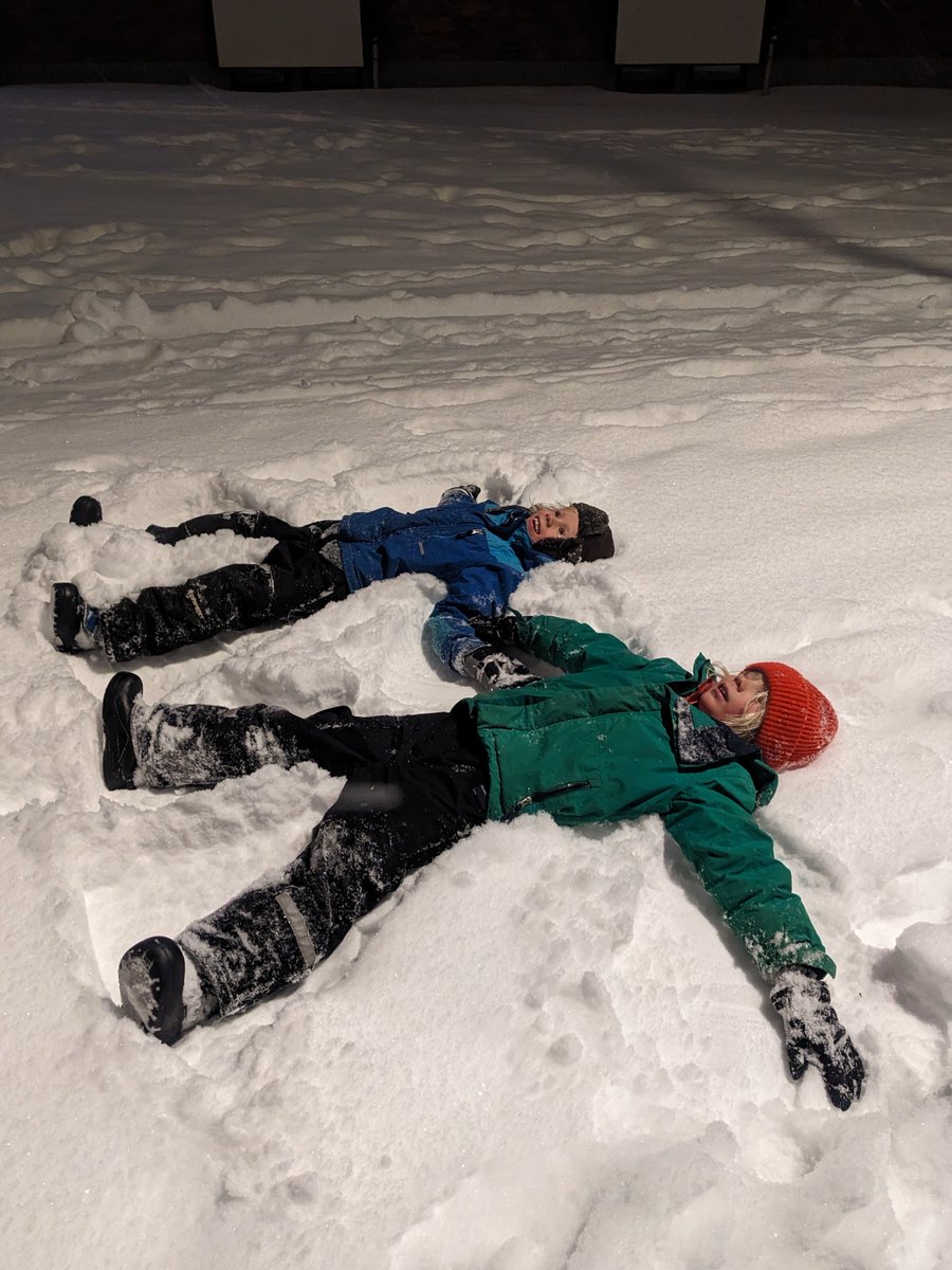 February 2nd is the International Twin Day🍒.
We collaborate with the Swedish Twin Registry, which contains info on >100,000 twin pairs used for medical research🤩.
#karolinskainstitutet #swedishtwinregistry #biomedicum #twinday #tvillingar #tvillingregistret