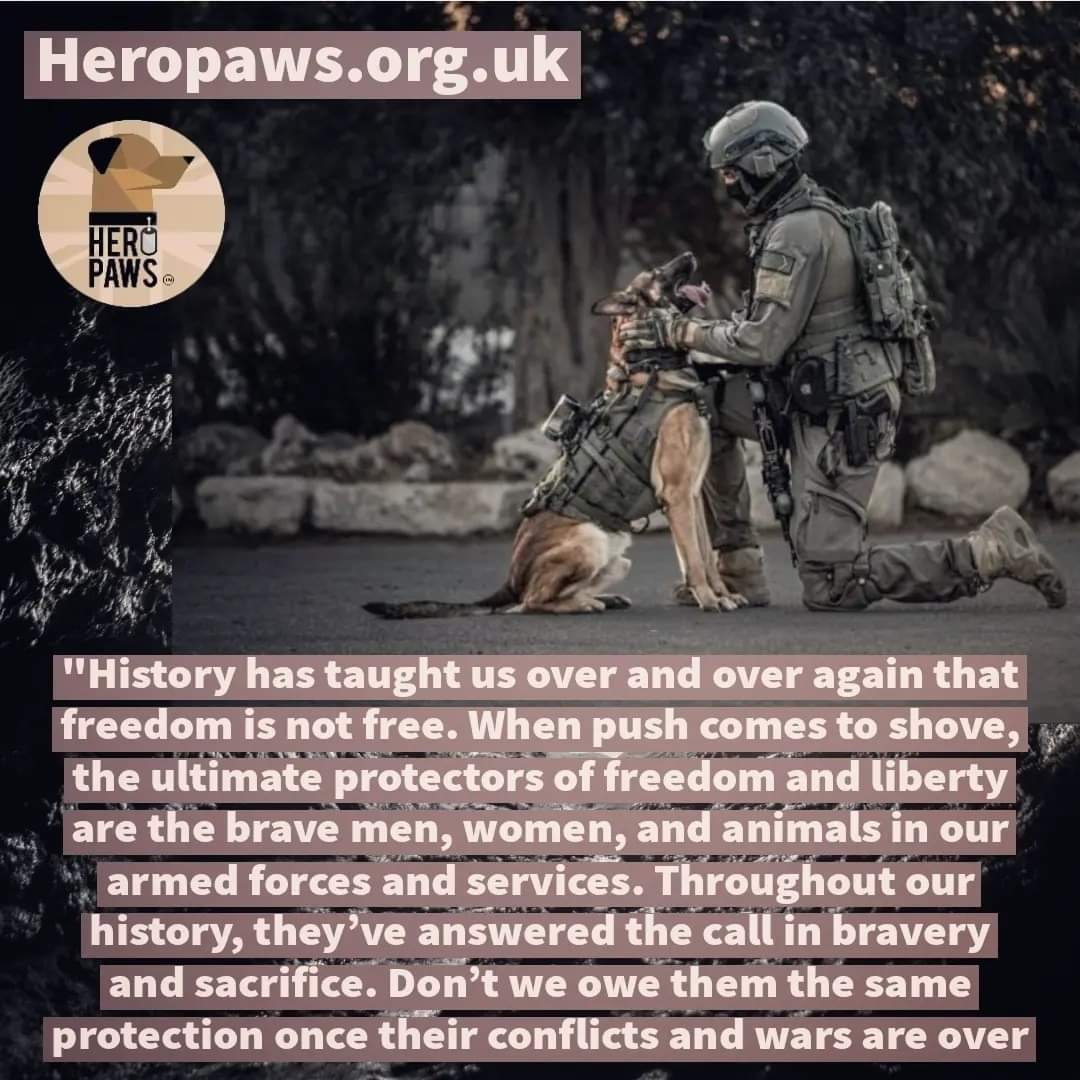 Good morning to our amazing Hero Paws family 👋
May your coffee be warm and your hearts be full today ☕️
Happy Friday ❤️🐾
#FridayVibes #FridayMotivation #Friyay #dogsofx #veterans #wardog #retirement #Paws #heropaws #dogswithjobs #uk
