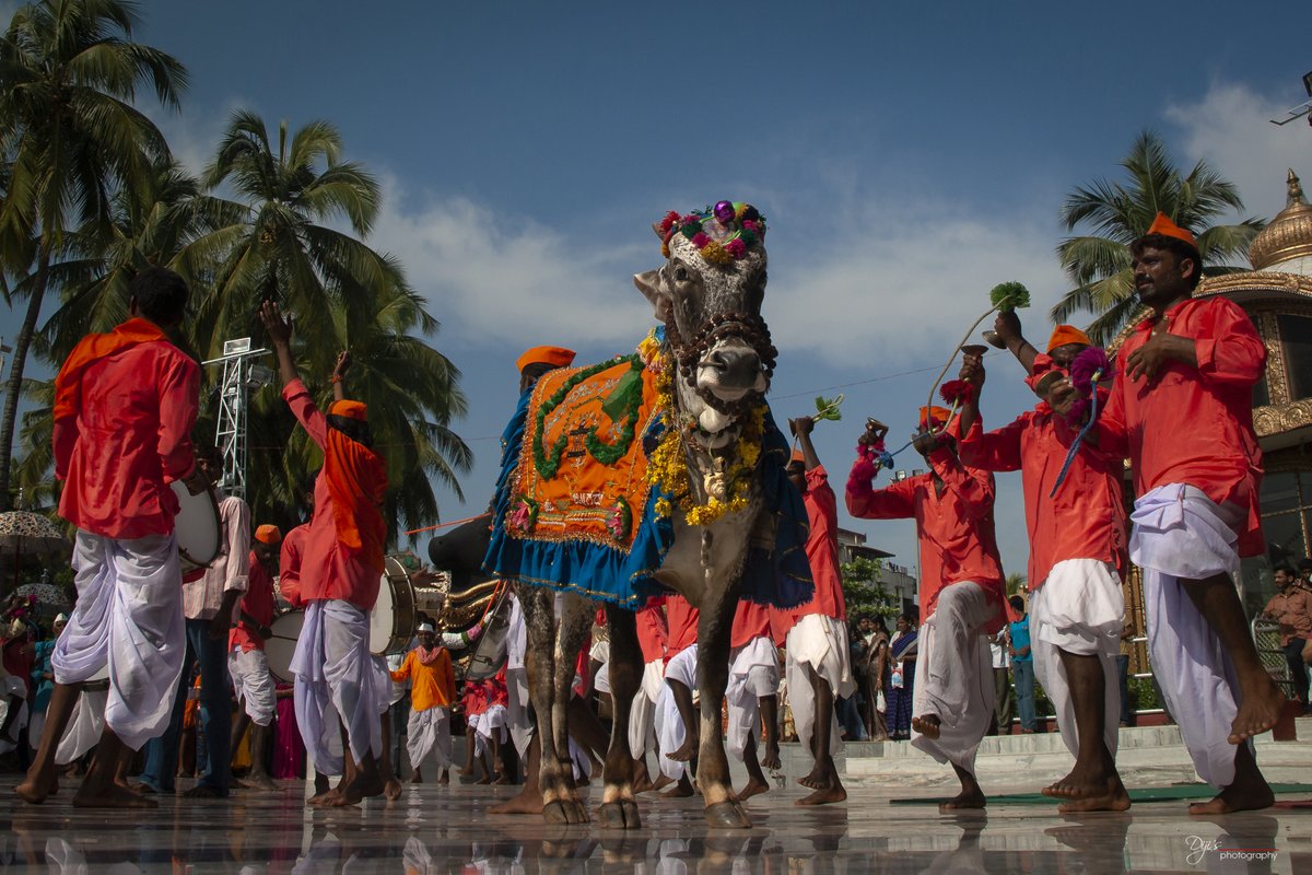 gm
May the weekend be so colourful to all...