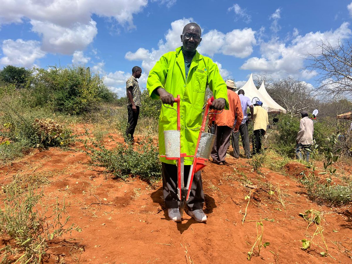 ICRISAT, under the <a href="/WorldBank/">World Bank</a>-supported <a href="/CGIARAfrica/">AICCRA</a> initiative, organized informative farmer field days (Jan 29 - Feb 1, 2024).

The event showcased drought-tolerant crop husbandry, right from land preparation to harvesting and post-harvest management. The event drew