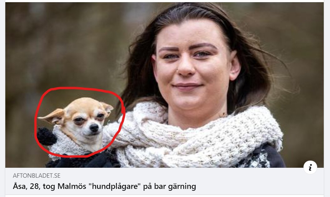 Icedor Johansson tweet media