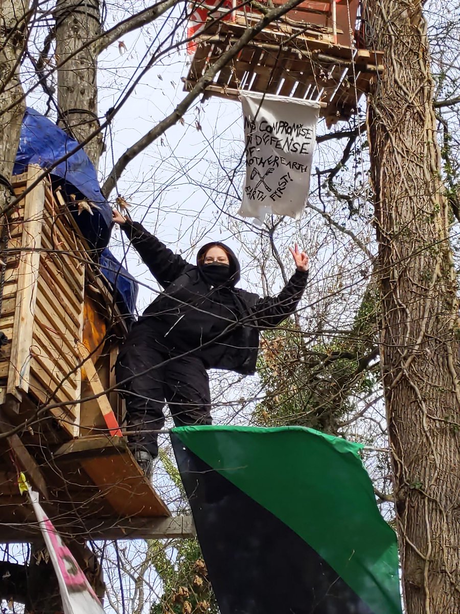 Die Stadt #Freiburg hat Rodungsarbeiten im #DietiBleibt für nächste Woche angekündigt. Ein Harvester wurde schon gesehen.

Kommt jetzt in den Wald - es gibt Programm&Skillshares. 🌳✊

 Infos👉 wald-statt-asphalt.net/dieti-bleibt/

Ticker👉 t.me/dieti_ticker
#GemeinsamGegenDieRodung