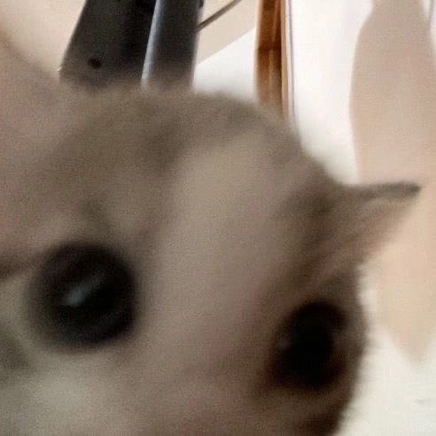 надеюсь товарищи вы меня не забыли еще