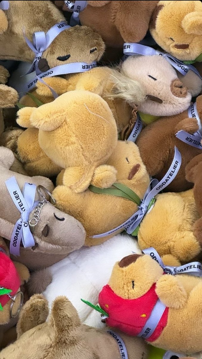 jenchaliso's tweet photo. Oddatelier or capybaraatelier? #Capybara #JENNIE #entertainment #ODDATELIER https://t.co/nHxI8OfX1c