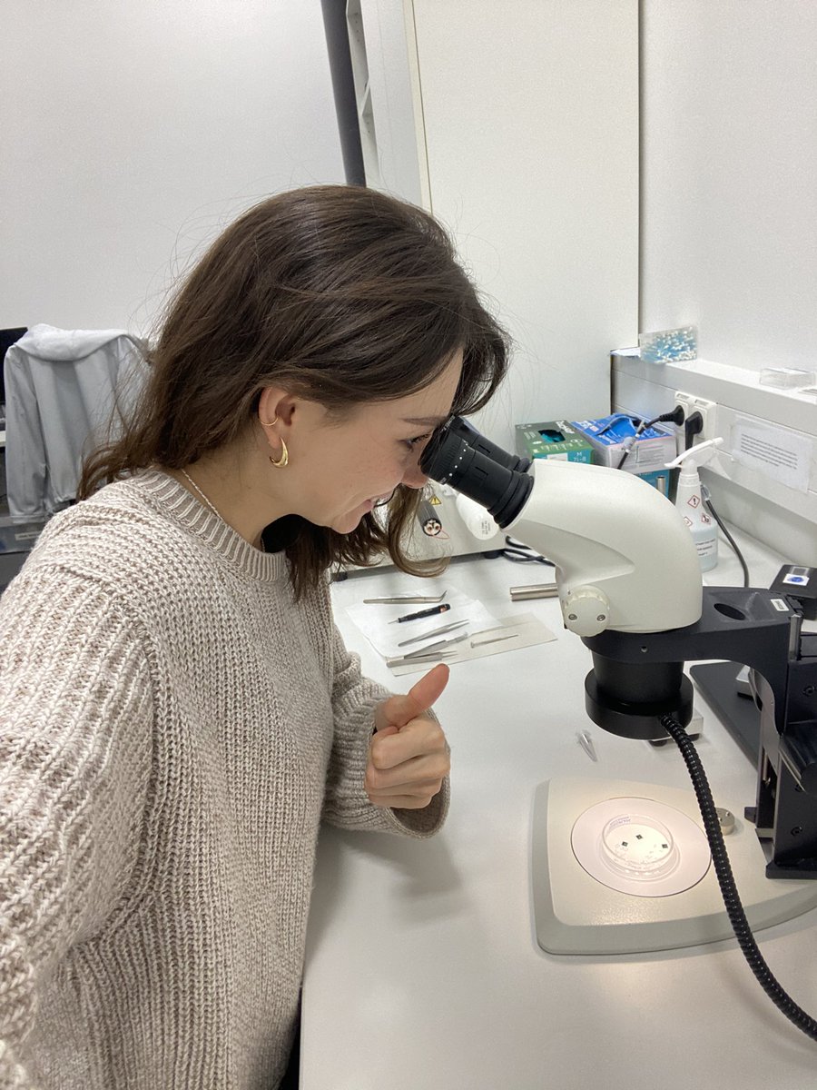 Liza Kozyr tweet media