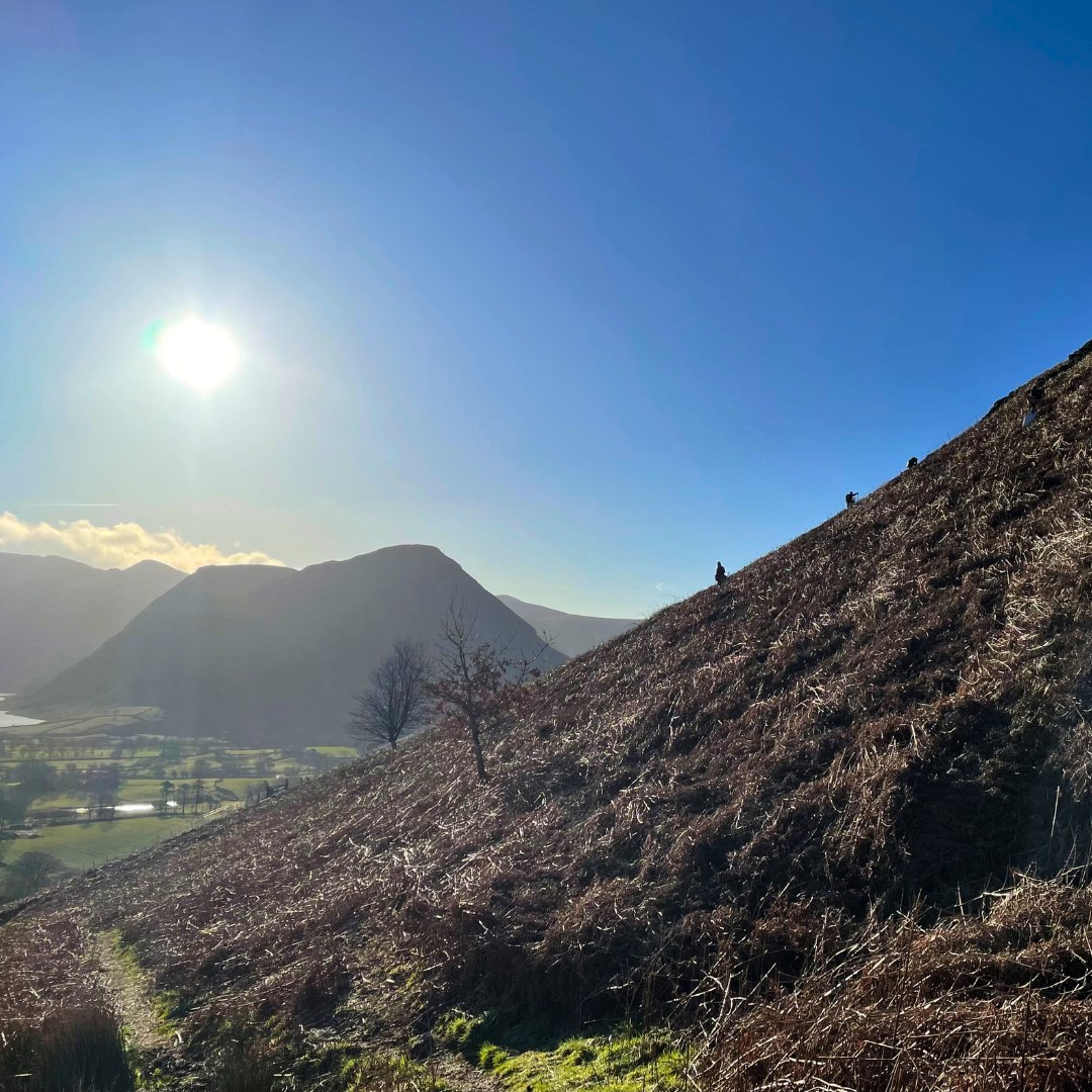 ChimneySheep's tweet image. Exciting news! We're in a 3rd season of planting at Low Fell. Read all about it in our latest Buy Land Plant Trees update.  chimneysheep.co.uk/blogs/blog/the…
#chimneysheep Buy Land Plant Trees CIC #blpt #trees #ClimateAction  #biodiversity #conservation #Sustainable #lakedistrict #lowfell