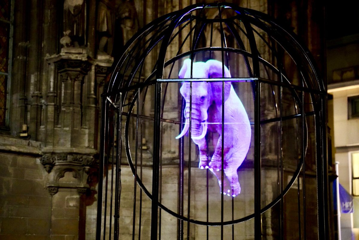 Patrick Braat ® tweet media