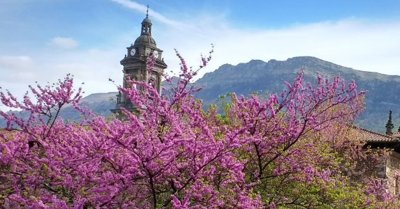 onaticommunity's tweet image. Enjoying the San Blas cake (torta de San Blas). From Oñati we wish you a happy weekend!
@BerbiaOnati #Oñaticommunity #internationalmasterinsociologyoflaw #IISL