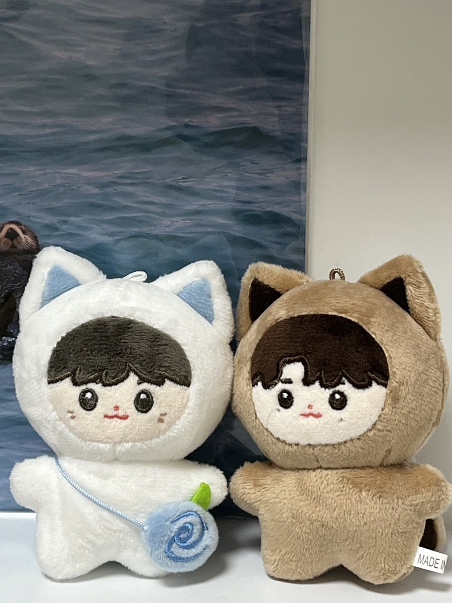 뿌요 tweet media