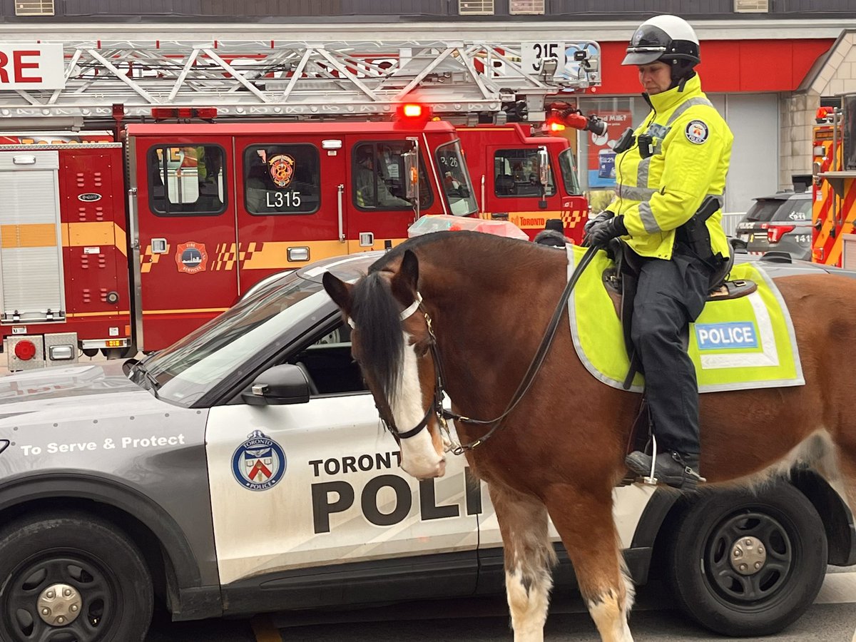 TPSMounted's tweet photo. #PHMack will be out on patrol this weekend & it’s a busy one! Please plan your travel routes accordingly and expect delays. Be patient,Be kind, Be safe & Have Fun! #NHLAllStar #toronto #PWHL #fanfare #toronto #mounted #seeyououtthere #bigmack https://t.co/7faDOZ2TRa