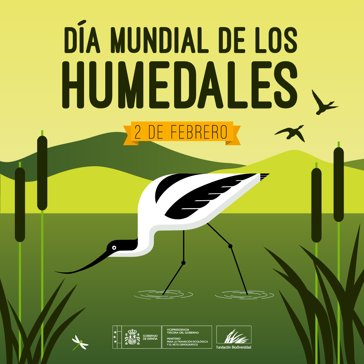 Los #humedales se encuentran entre los ecosistemas más complejos, productivos y dinámicos, aunque también más frágiles, del planeta.

A pesar de que solo ocupan entre el 3% y el 5% de la superficie terrestre, el 40% de las especies viven o se reproducen en ellos.