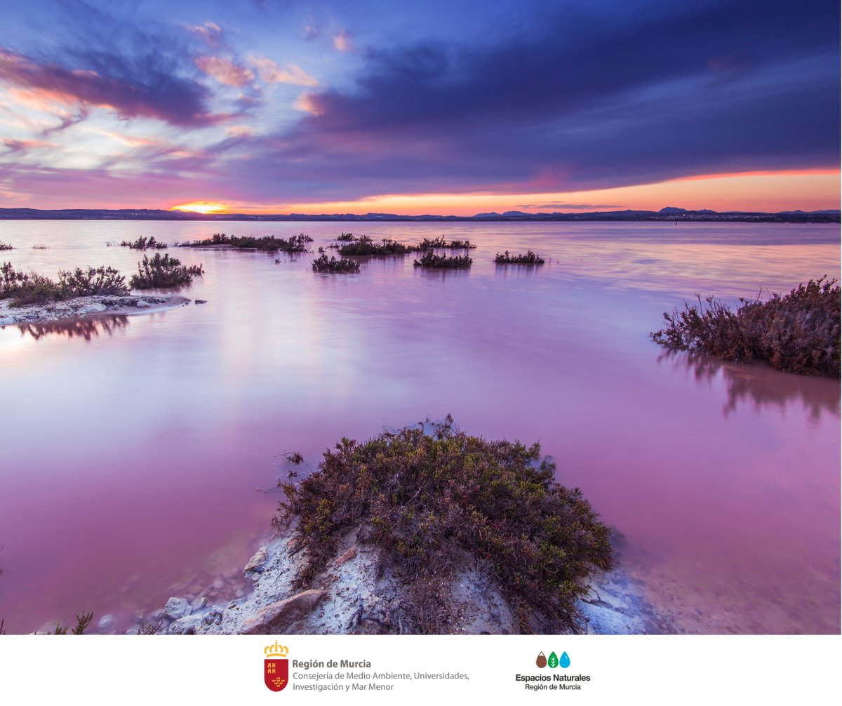 EspNaturalesMur's tweet photo. Los #Humedales representan ecosistemas de gran importancia para la #Conservación de la #Biodiversidad y el bienestar de las personas 🏞️

¡Feliz #DíaMundialDeLosHumedales!

#HumedalesYBienestarHumano #REDEEA #GraciasHumedales https://t.co/gJeHFYEPOP