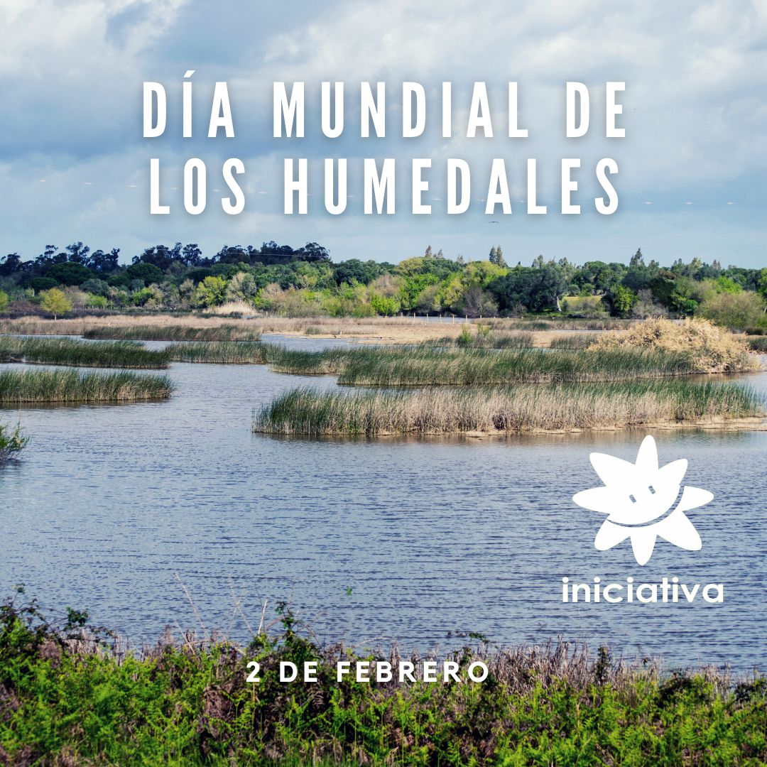📣En el Día de los Humedales, reivindicamos la necesidad de proteger y garantizar todos los humedales de #Andalucía

La Biodiversidad y especies están en alto riesgo. Son imprescindibles más medidas y recursos para su mantenimiento y recuperación

#DiaMundialDeLosHumedales
