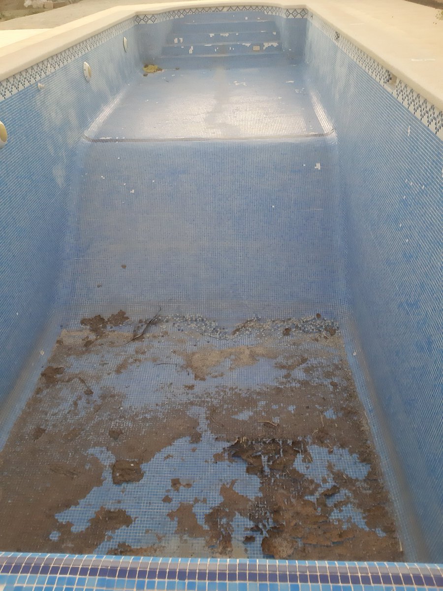 lifechangeplans's tweet photo. The pool was drained in 2022 the pump broke down the water went green.  Now it is in disrepair with tiles falling off. Reduced the value of the property.
All because he would not come to the table take responsibility for his behaviour and settle things.  
🤡🤡🤡  #postseparation https://t.co/fSvfN9wORo