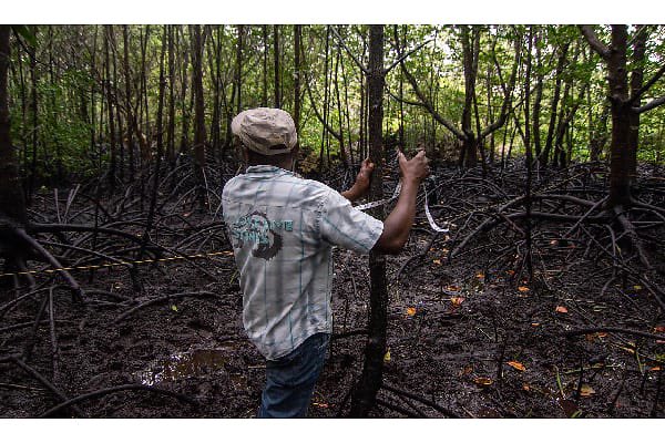 On #WorldWetlandsDay, we recognize the vital role of wetlands in preserving biodiversity &amp; their impact on human wellbeing. Our "Conserving Aquatic Biodiversity Project," reflects our commitment to protect ecosystems. 

Watch our involvement: shorturl.at/koMUY #Conservation