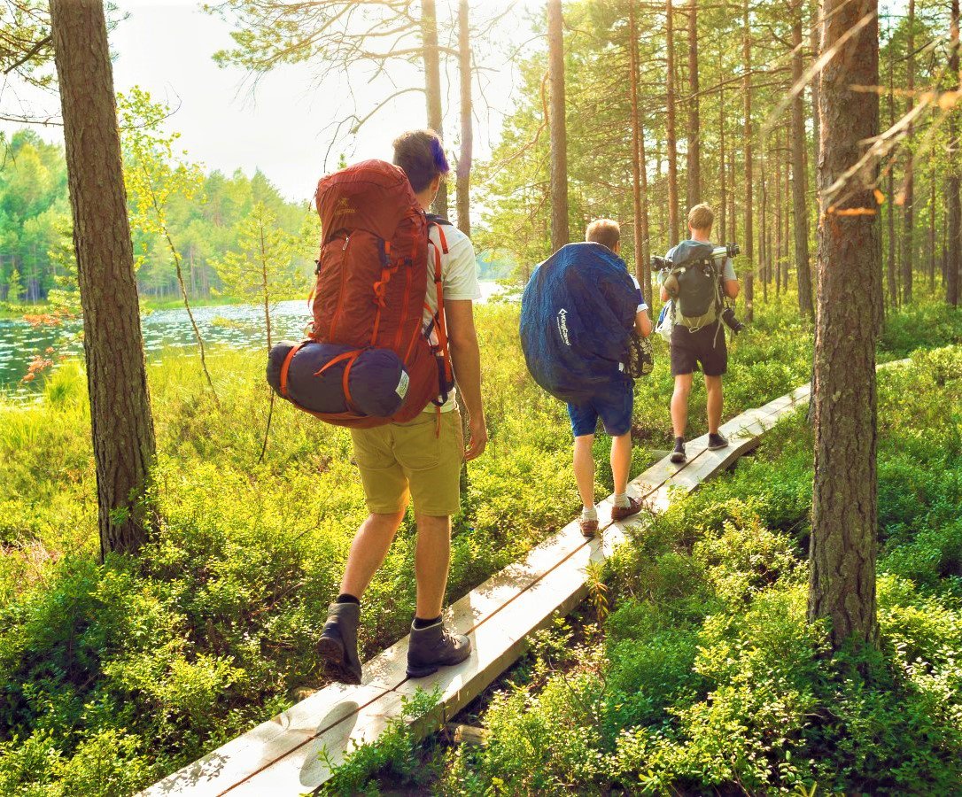 Nuuksio National Park is celebrating its 30th anniversary this  year. Nuuksio is  Finland's third most popular national park and a unique treasure of  nature in the Uusimaa region: nationalparks.fi/-/nuuksio-nati… 
Learn more about Nuuksio National Park in Espoo: discoveringfinland.com/blog/nuuksio-n…