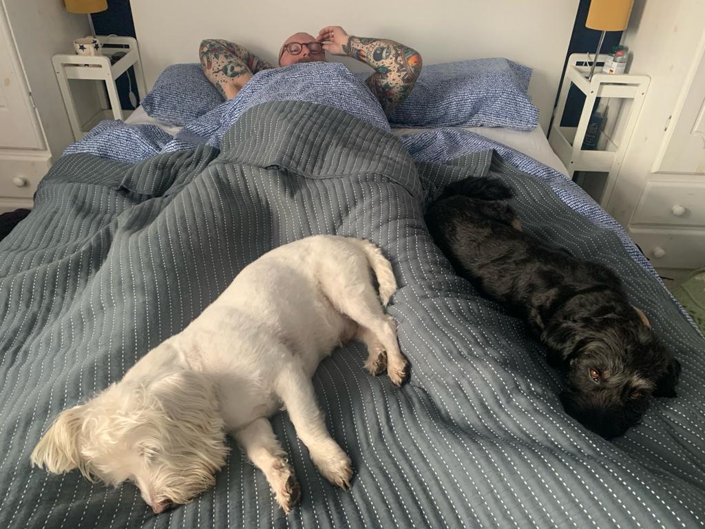 ernpup's tweet photo. Slow start to the day here 🥰🐶💤 #cuddlecrew #dogsofx #dogsoftwitter https://t.co/GqlN2883w4