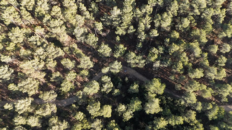 ➡️ Expo: Restauració Ecològica i Gestió Forestal (APF Serres Miralles, Orpinell, Queralt, Collbas i Miramar)
📆 4/02 al 03/03/2024
👉 shorturl.at/xHUX6
Treballs i projectes realitzats en planificació i prev. #incendis i #LifeClimark (han generat els 1ers #CrèditsClimàtics)