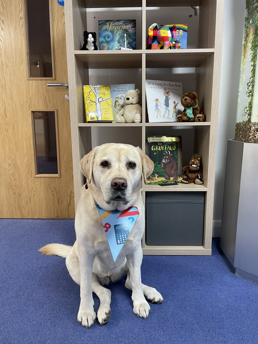Bramble is ready for Number Day 2024! <a href="/NSPCC/">NSPCC</a> #schooldog 🐶🧮⭐️