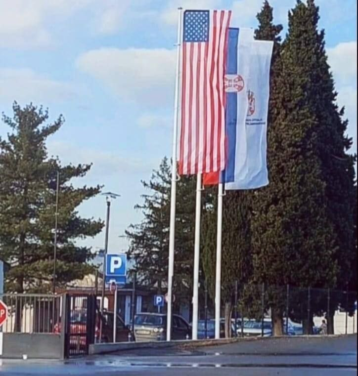 serb_data's tweet image. 