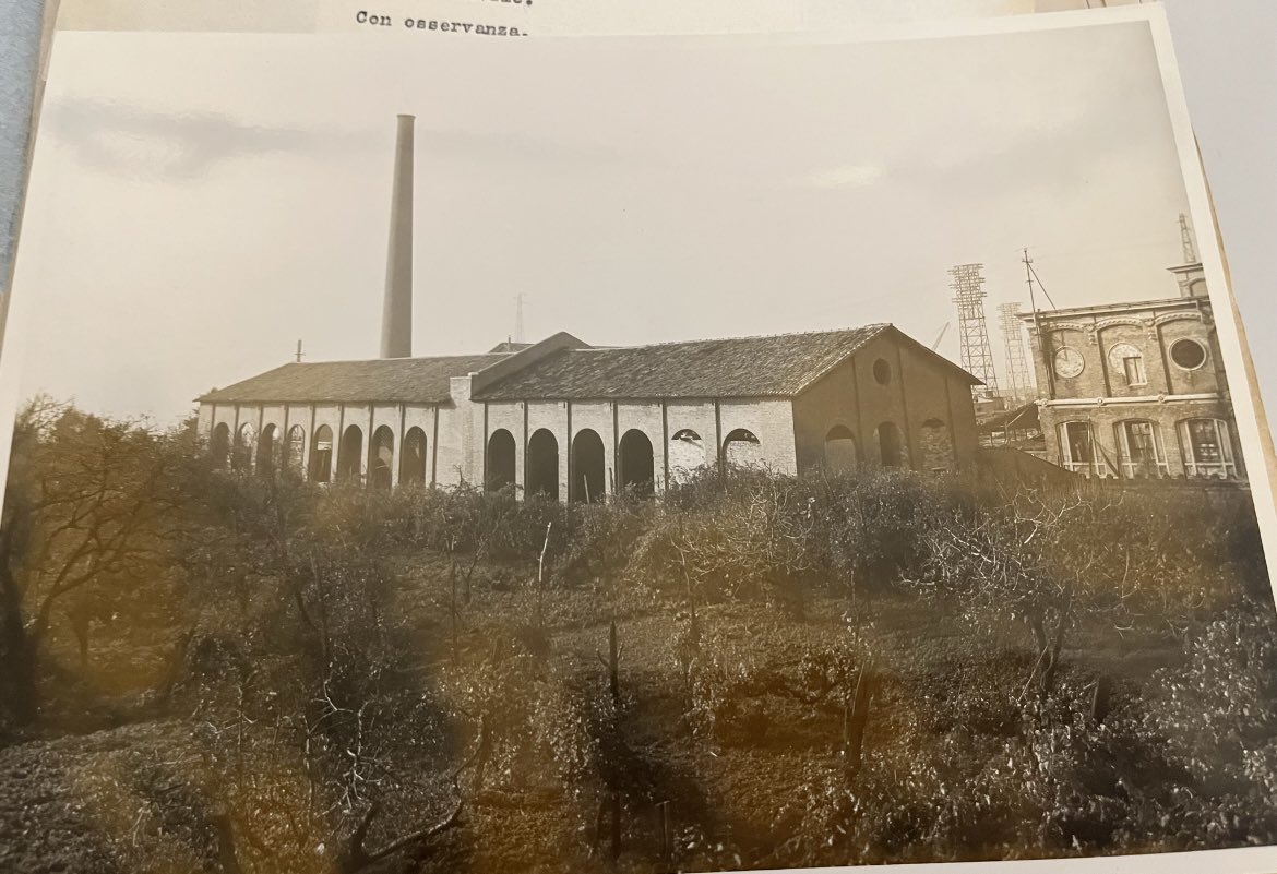 Catherine O'Rawe tweet media