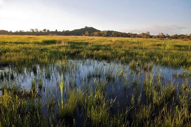 World Wetlands Day
#Wetlands offer significant #TourismOpportunities that can be an important source of income for communities and national economies. The #RamsarConvention supports Contracting Parties & other stakeholders in promoting and developing sustainable #WetlandTourism